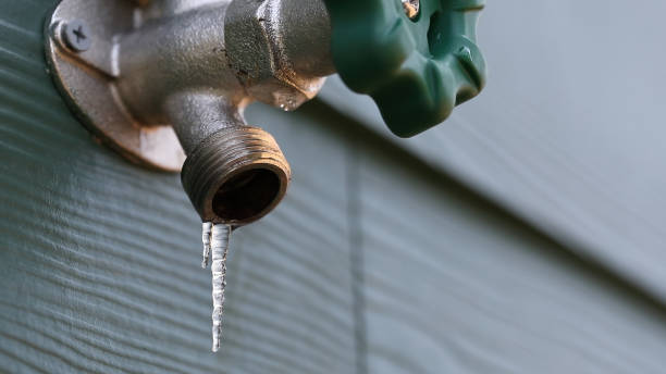 Best Commercial Plumbing Services  in Duvall, WA